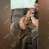 make monetizable cute funny pets compilation videos