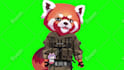 create custom live2d male vtuber model for avatar streamer