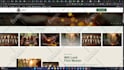 clone and rebrand any website in wordpress elementor with your content