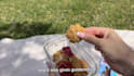 create dog or cat ugc videos for your pet product and services