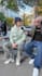do tiktok street interviews for you