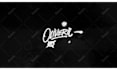 produce custom logo animation intro