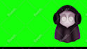 create express custom high quality vtuber model live2d vtuber rigging