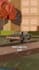 create roblox animation shorts and reels