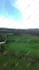edit your vlogs, drone videos professionally