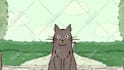 make a rough animation for you