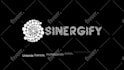 create 100 percent unique custom intro logo animation