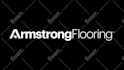 professionally animate your logo