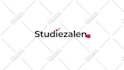 create a professional custom logo animation or intro