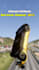 create beamng drive short videos