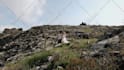 do wedding video editing, cinematic wedding film and highlight reel