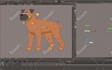 rig your 2d character in toon boom harmony