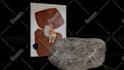 model, rig and or animate your 3d characters