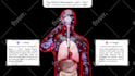 make 3d and 2d medical animated videos