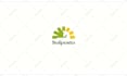 design a professional custom logo animation and video intro