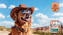 create stunning promo video ads