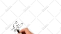 animate adjusted to your budget