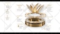 create a stunning live action explainer video for business promotion
