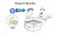 create whiteboard doodle animation, videoscribe, sketch video