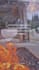 professional canva video canva expert canva animation canva editing canva pro