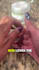 create ugc videos for tiktok ads or reels