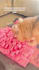 create ugc for you dog products or pet brand