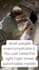 create amazing instagram post design