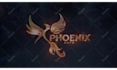 create a bird phoenix intro animation with your logo, reveal