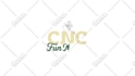 do eye catching custom logo animation for you in 24 hours