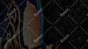 create luxury gold and black 3d logo animation