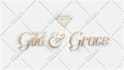create a professional 2d logo animation