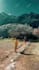cinematically edit your instagram reels, family travel video