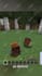 be your dedicated minecraft video editor