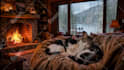 create cozy ambient rain video for youtube channel