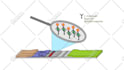 create a whiteboard animation explainer video for your business