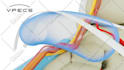 create high end 3d medical animation