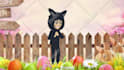 create 2d animation story and explainer adsvertisment video