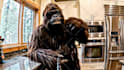 create gorilla and yeti vlogging videos, ai bigfoot vlog