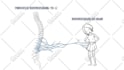 create a professional whiteboard animation video