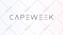 create a professional custom logo animation in 24 hours
