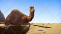 create cinematic cgi animation videos, character animation, 3d commercial video