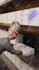 do 3d animation video and 3d character design