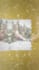 design elegant website invitations for weddings, quinceaneras and events