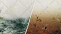 do professional documentary video editing with high end motion graphics