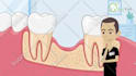 create a professional 2d animated explainer video