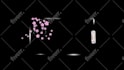 create stunning twitch overlays, logo, custom overlay twitch