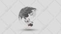 do 3d modeling, animaiton rendering
