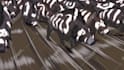 create amazing amv, game edits or anime edits full HD 1080p