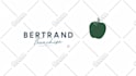 create a professional 2d logo animation and intro