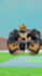 create viral roblox shorts animation videos for your channel